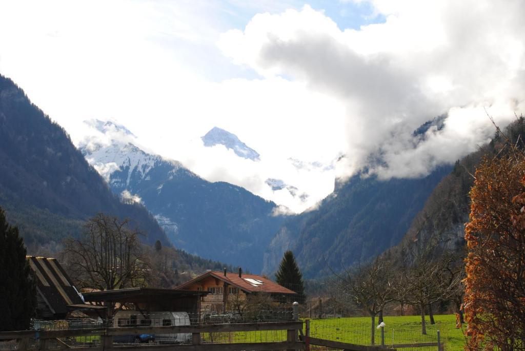 Apartament Studio Glaus Wilderswil Pokój zdjęcie