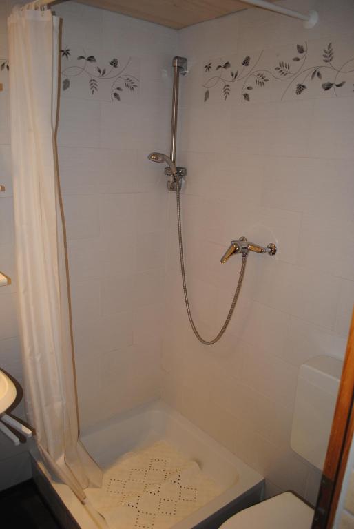 Apartament Studio Glaus Wilderswil Pokój zdjęcie