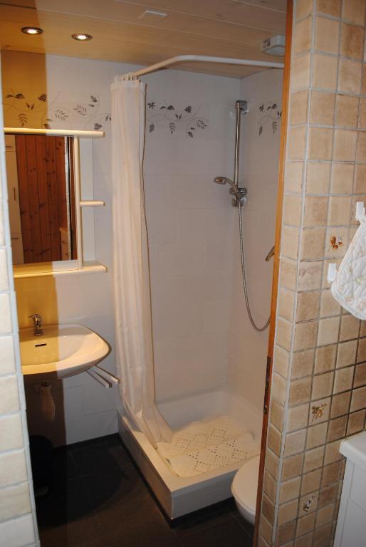 Apartament Studio Glaus Wilderswil Pokój zdjęcie