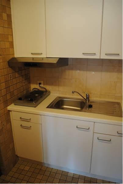 Apartament Studio Glaus Wilderswil Zewnętrze zdjęcie